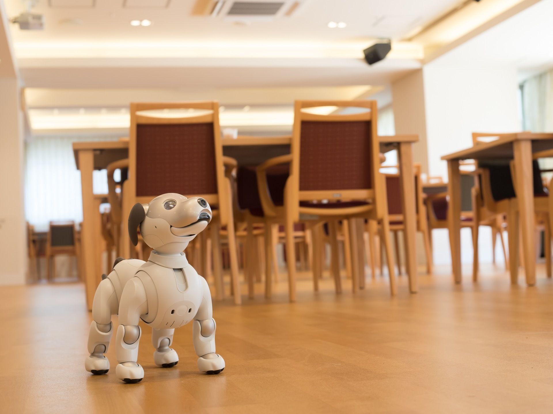 共有スペースの床面に、犬型のロボットが置かれている。ロボット犬は椅子の座面に届かないほどに小さなサイズで、大きな丸い瞳が特徴的である。