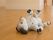 新型の人工知能を搭載した犬型ロボットが、お腹を出して床に寝そべっている。目は白目になっており、本物を模した黒い肉球を見せている。