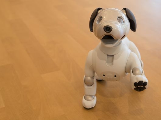 ロボット犬
