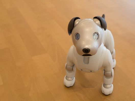 ロボット犬