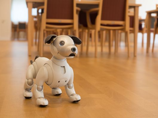 ロボット犬