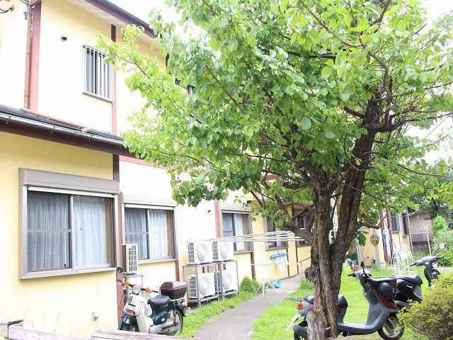 木や芝生が敷かれたホームの裏側にある庭。バイクが数台止められている。