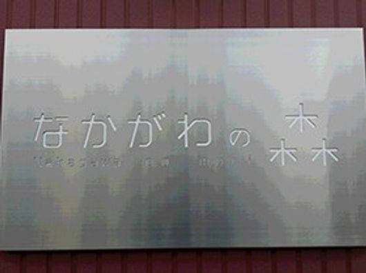環境