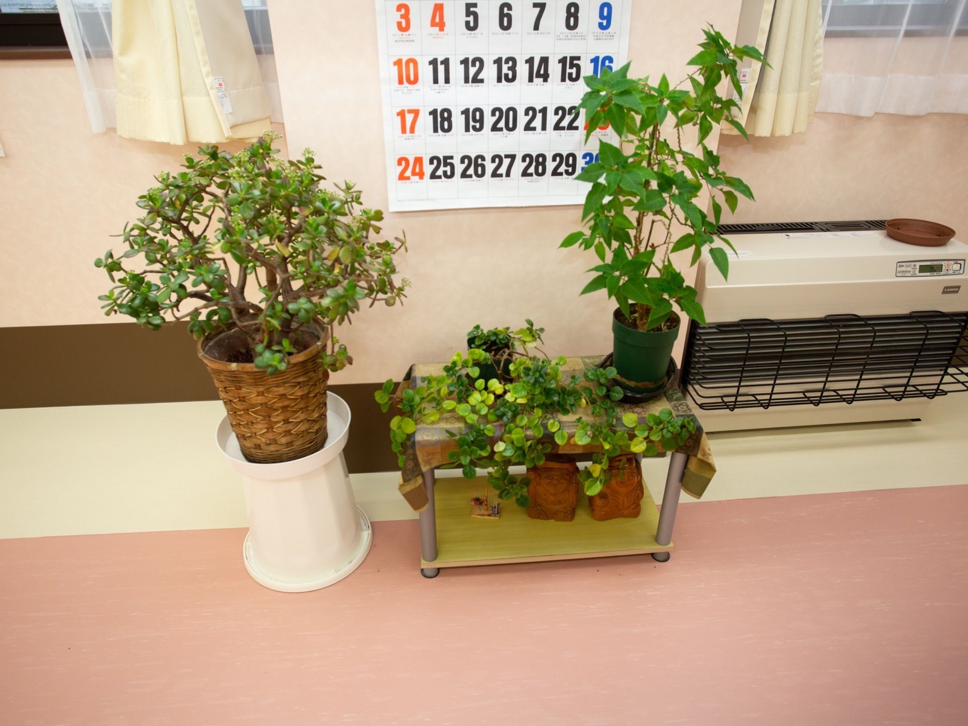 観葉植物が置かれている。壁にカレンダーが貼られている。レースカーテンとクリーム色の遮光カーテンが掛けられている。