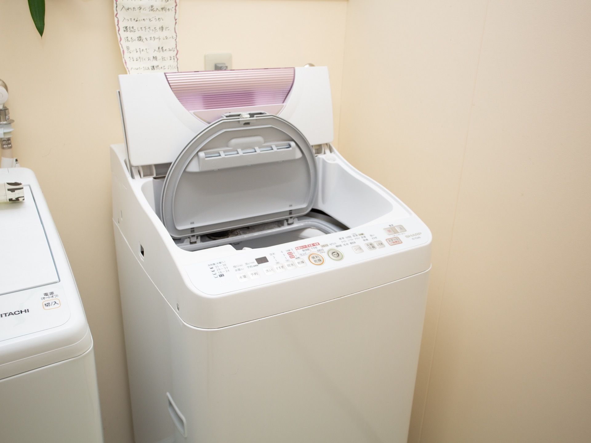 洗濯スペースが設けられている。洗濯機が2台用意されている。観葉植物が飾られており、壁に説明書きが掲示されている。