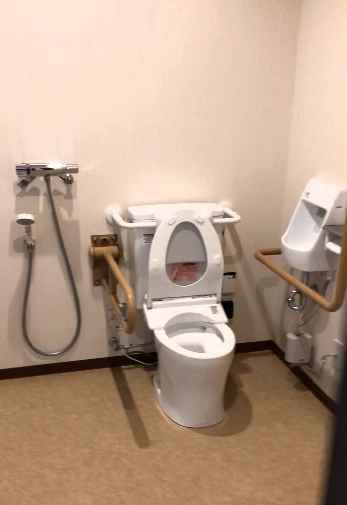 トイレは広く手すりが便器の両サイドに設置されている。洗面所とシャワーもついた機能的なトイレ。