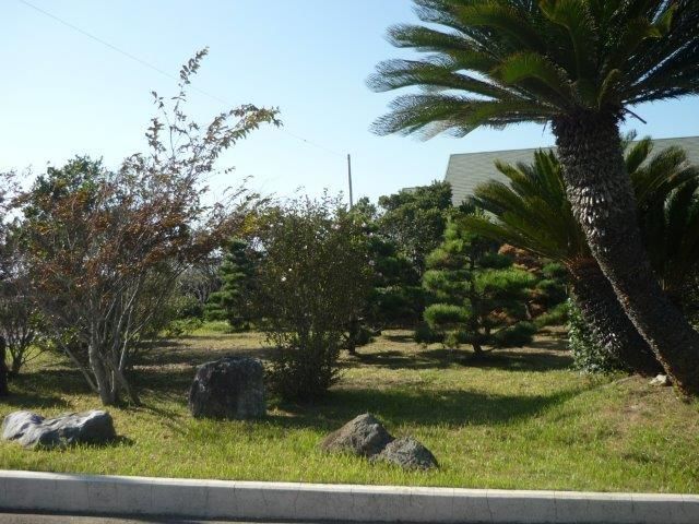 庭にはたくさんの木が植えられていて草もきれいに刈られている。