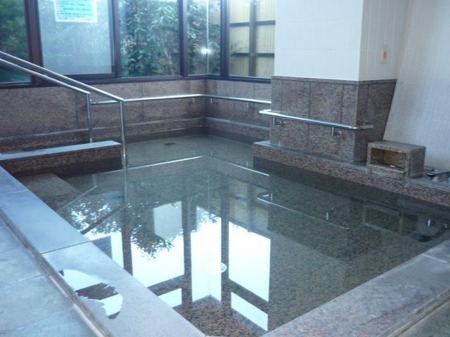 浴室の浴槽は長方形で大きく、安全に移動できるよう階段には手すりが付けられている。