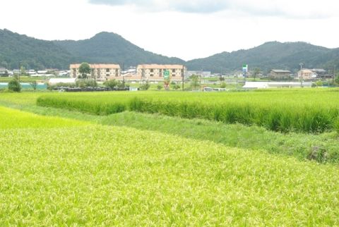 緑豊かな場所に囲まれた施設
