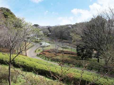 あずみ苑 ラ・テラス葛城の周辺環境。施設の近くには自然豊かな多くな後編が立地している。