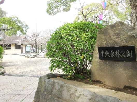中央森林公園
