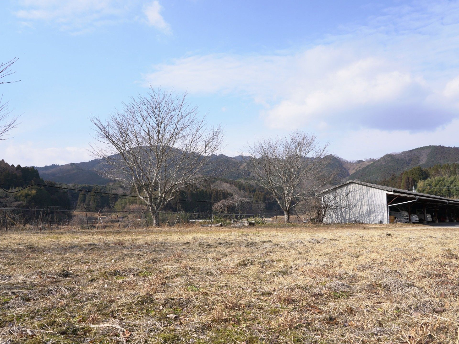 広がる自然の風景