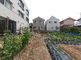 <br>
広い庭と建物の外観