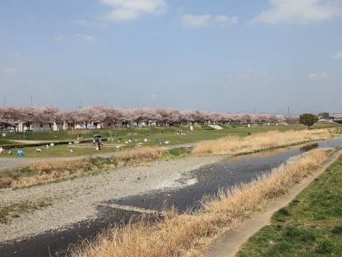ラ・テラス堀米の周辺環境。近くには河川敷があり散歩に適した環境になっている。