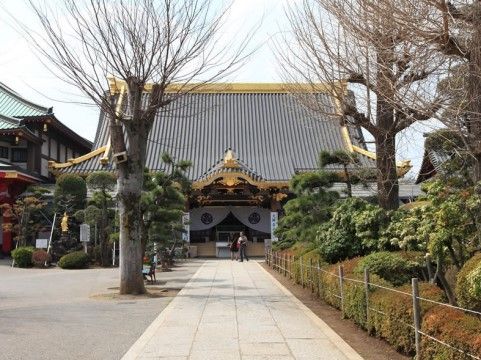 ラ・テラス堀米の周辺環境。近くには神社もあり初詣をはじめお散歩ついでに参拝している。