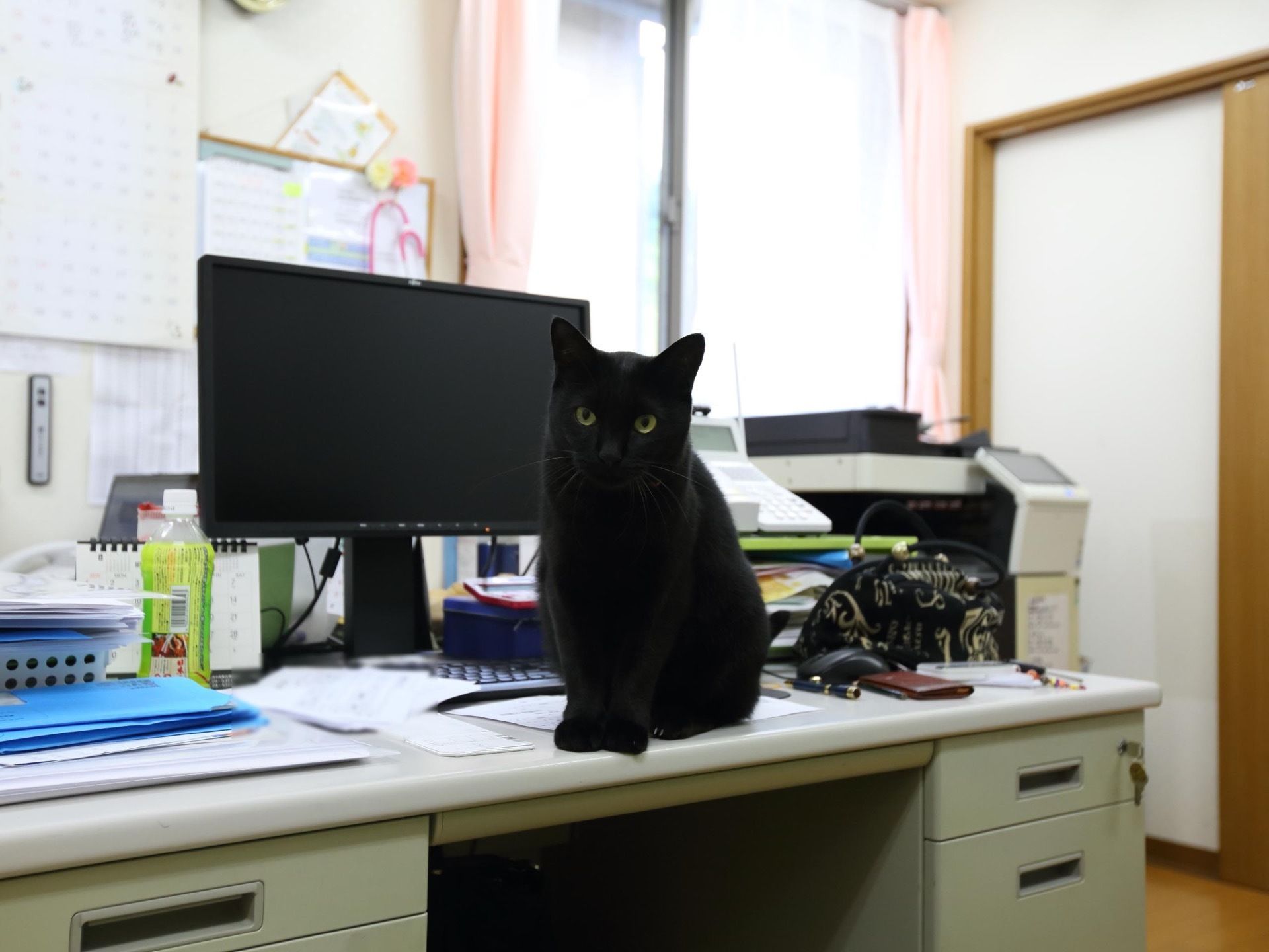 職員のデスクが置かれており、パソコンが設置されている。デスクの上に黒猫がくつろいでおり、小物が用意されている。