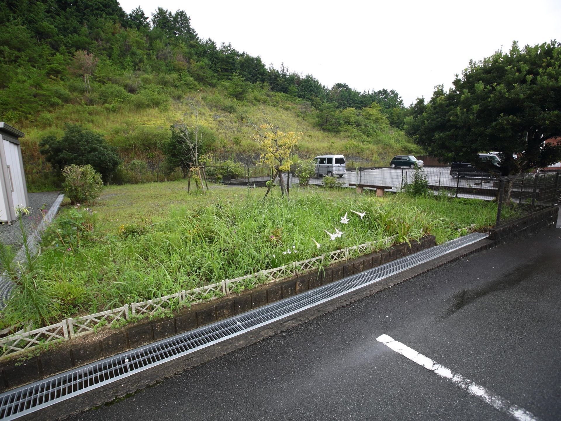 敷地内には駐車場が設置されており、車が何台か停められている。植栽が施されており、手入れが行き届いている。