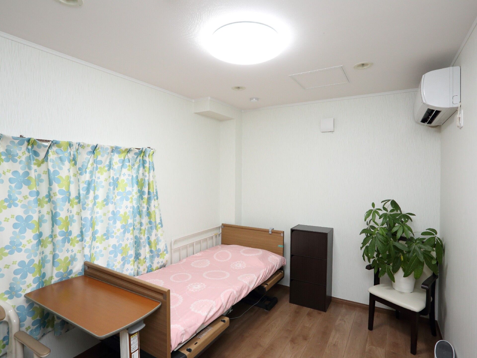 観葉植物と青い花柄のカーテン、ピンク色のベッドがある居室