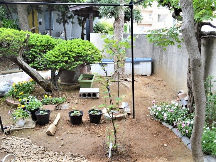 きれいに手入れが行き届いた庭には、季節の花や木が植えられている。