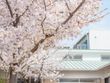 住宅型有料老人ホーム 光の華