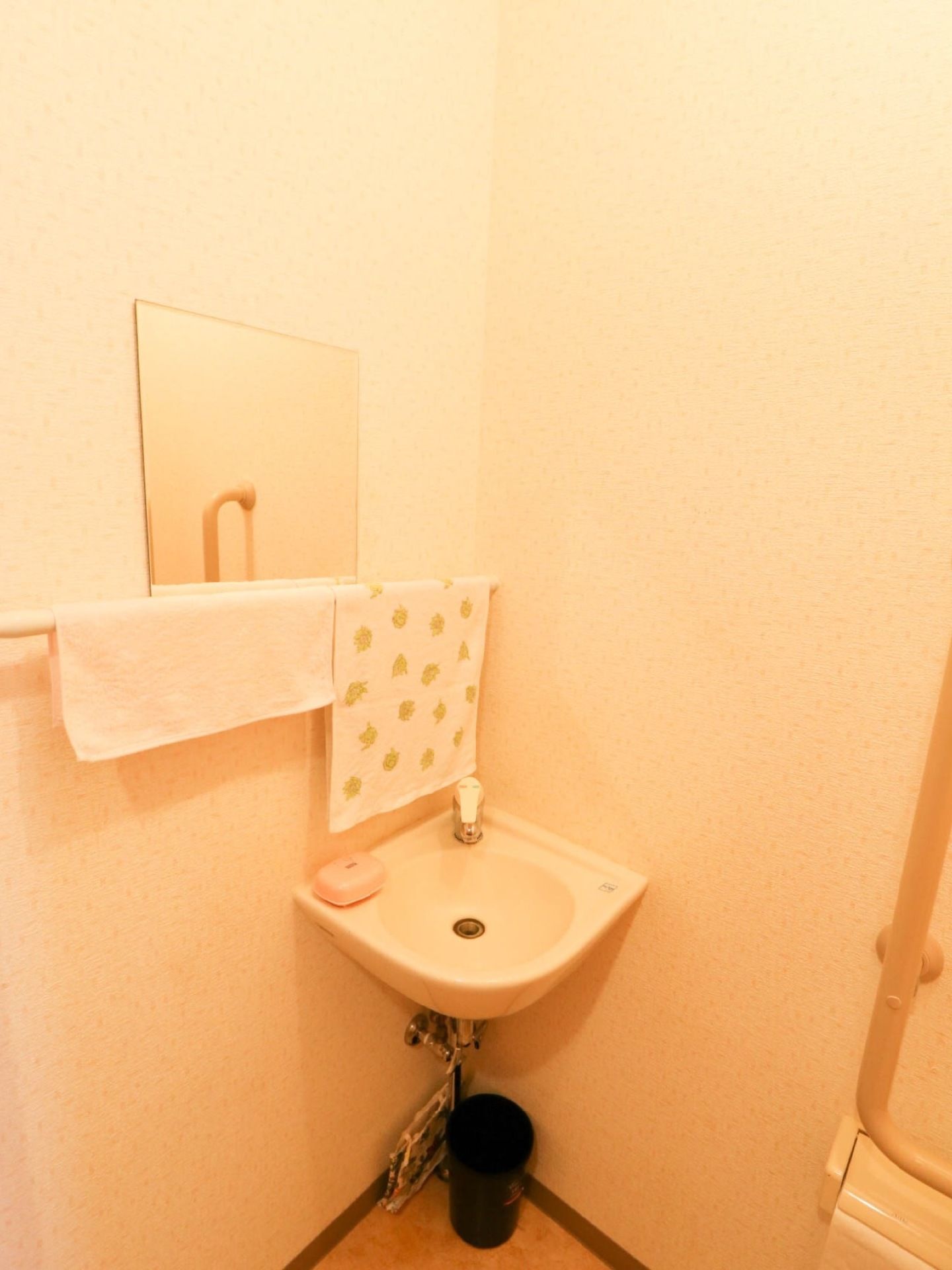 手洗いスペースが併設されたトイレである。壁には鏡が設置されており、手すりにはタオルが掛けられている。床にはゴミ箱が置かれている。