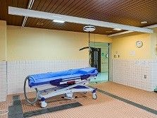 清潔な浴室のベッド