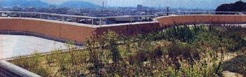 緑豊かな屋上庭園