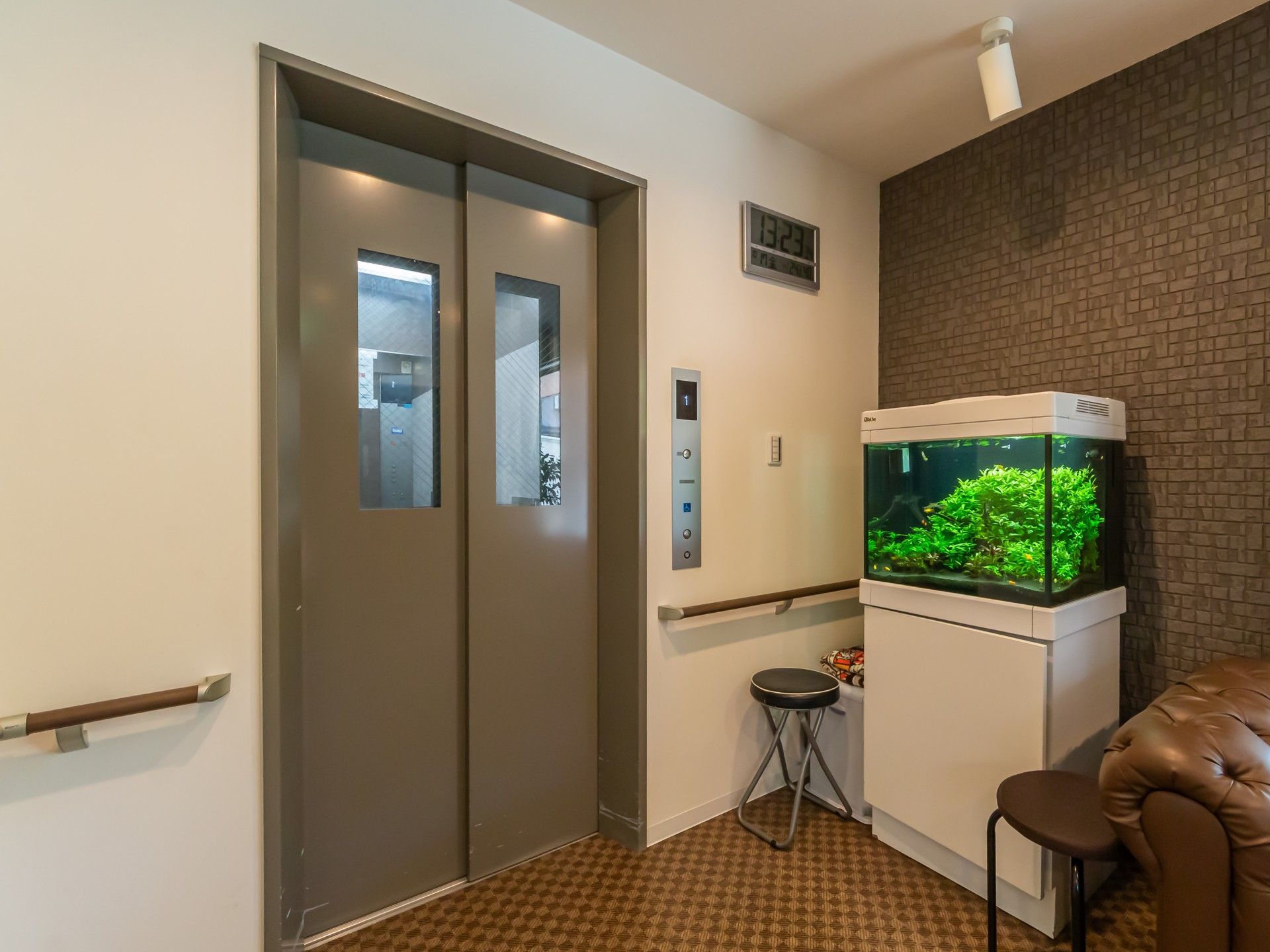 エレベーター前の水槽