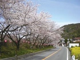都会の喧騒から離れ、穏やかな暮らしを紡いでいきたい方にこそ、当施設がおすすめできます。