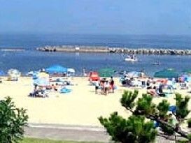 大阪湾のビーチの様子。夏に海水浴を楽しんでいる人々