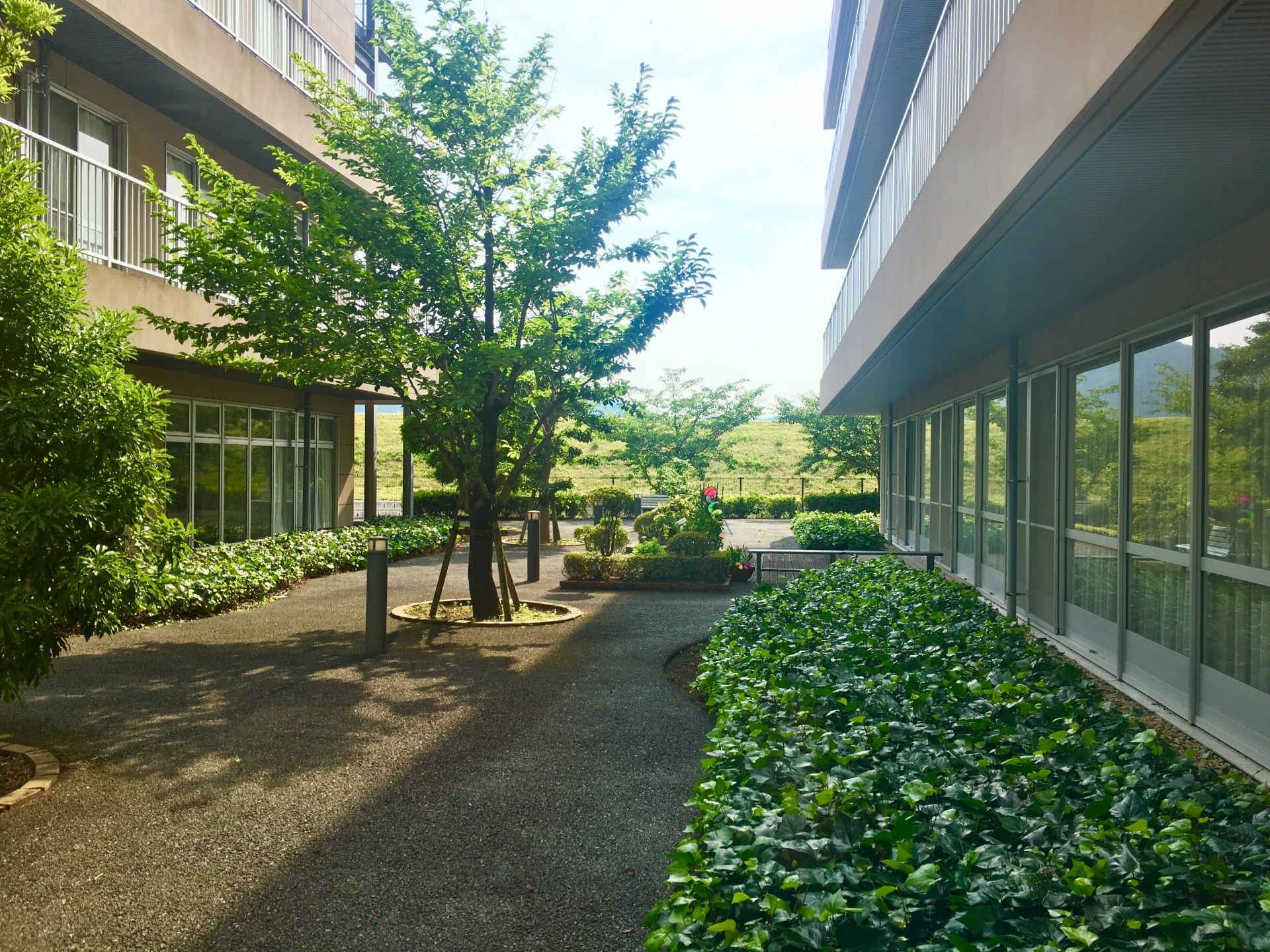 緑豊かな共有庭園
