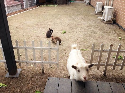 リラックススペース