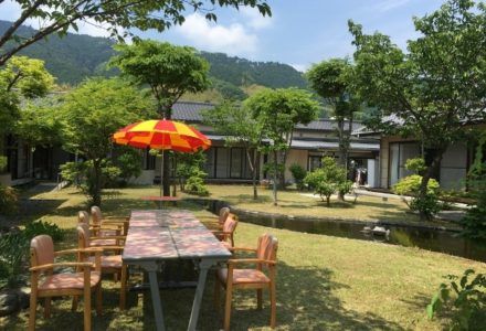 緑豊かな庭園