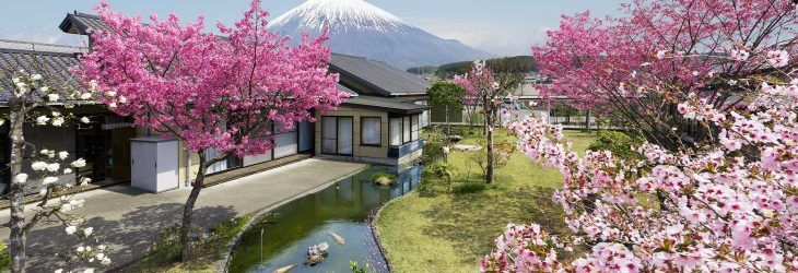 桜と富士山の景観