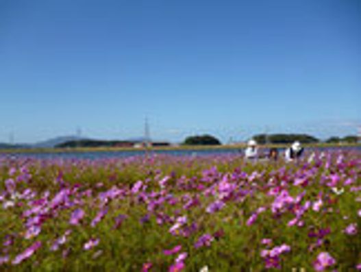 スタッフイメージ