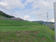 のどかな風景と案内看板のある道