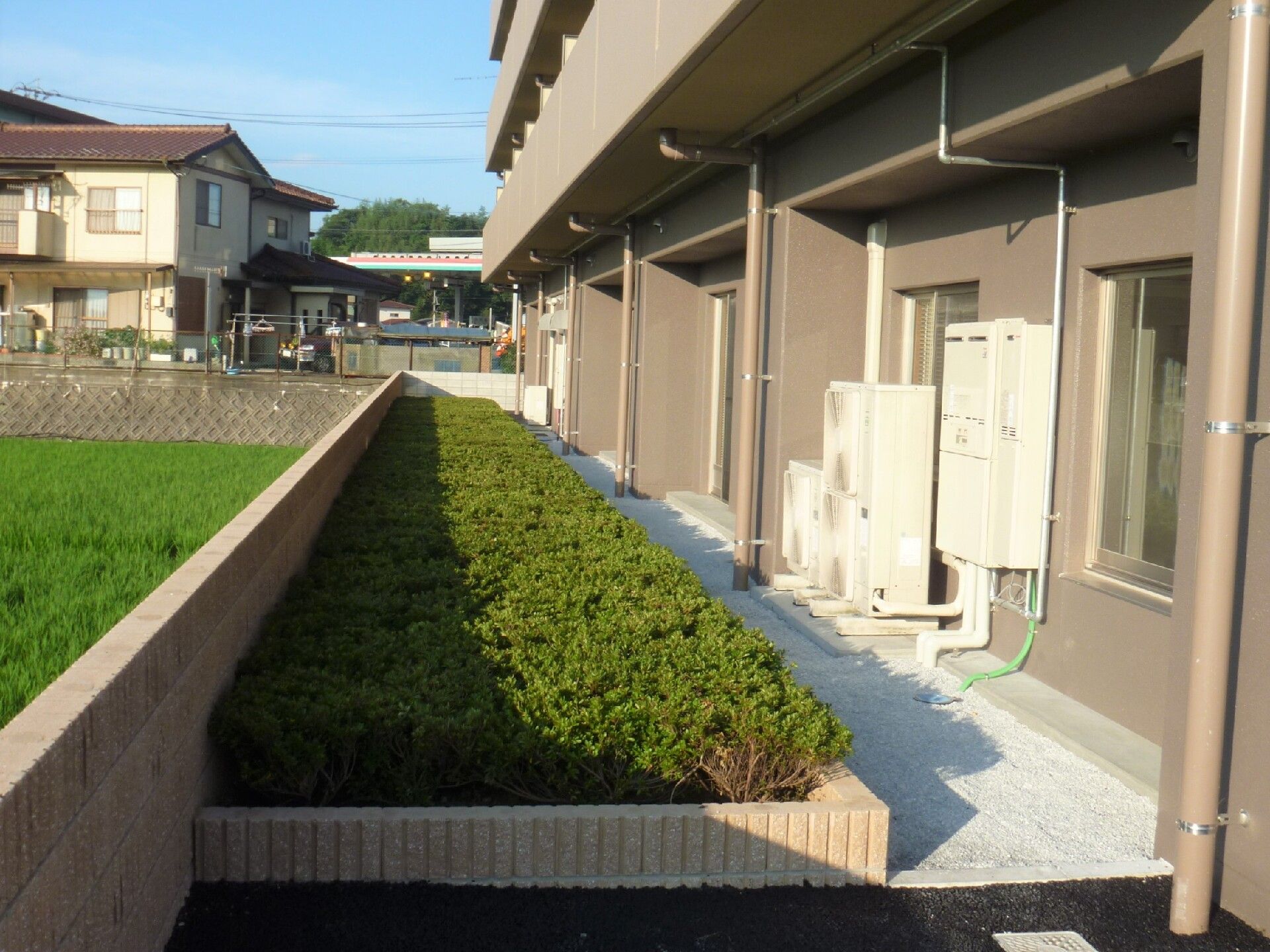 植込みの様子を横から写した写真。施設敷地内の中庭の様子