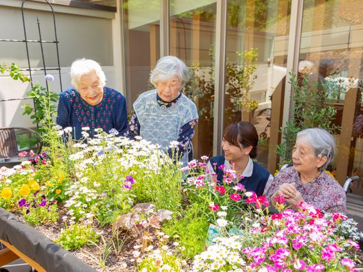園芸サークル「めばえ」の活動