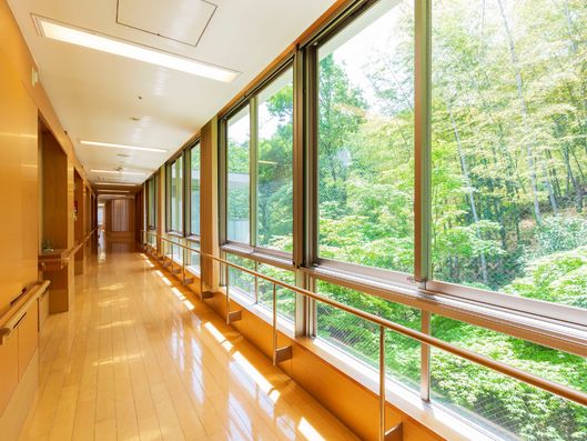 廊下からの眺め