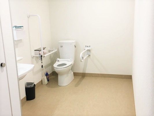 シンプルなトイレは広く、手すりや介助スペース、車いす対応の洗面所など必要な物がそろっている。