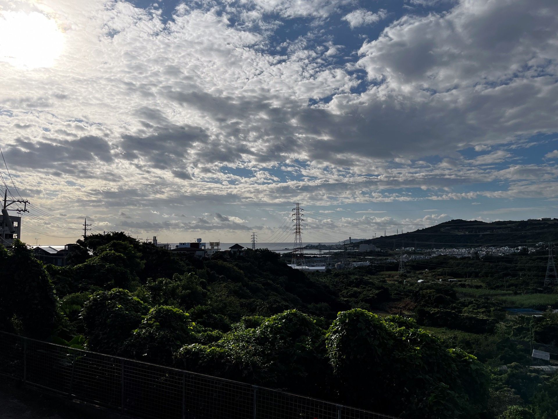 広がる青空と緑の風景