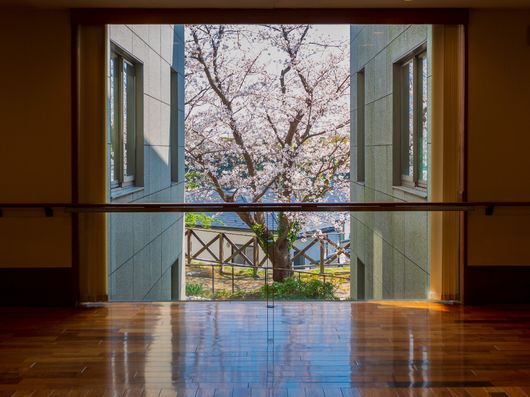 エレベーターホールからの眺め