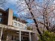 凝ったデザインの大規模な建物はホテルのようにも見える。エントランス前の植え込みには大きな木が立っている。