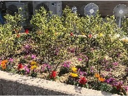 花壇
