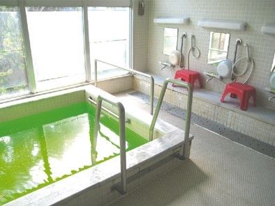 大きな浴槽が設置された浴室は洗い場も広く、明るい。浴槽には手すりや階段もつき、シャワースペースもついている。