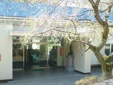 自動ドアが付いた建物の前には大きな桜の木があり、花が咲いている。