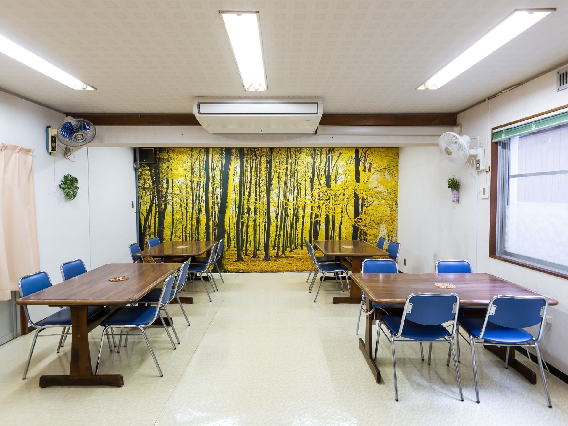 食堂はゆとりある空間になっており、４人掛けテーブルが並べ置かれている。正面の壁に設置されたロールスクリーンには、森林の風景が印刷されている。