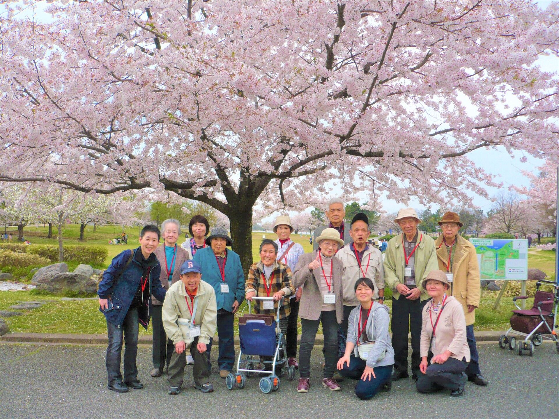 施設の近所の公園で満開になった桜の木の下で撮られた写真