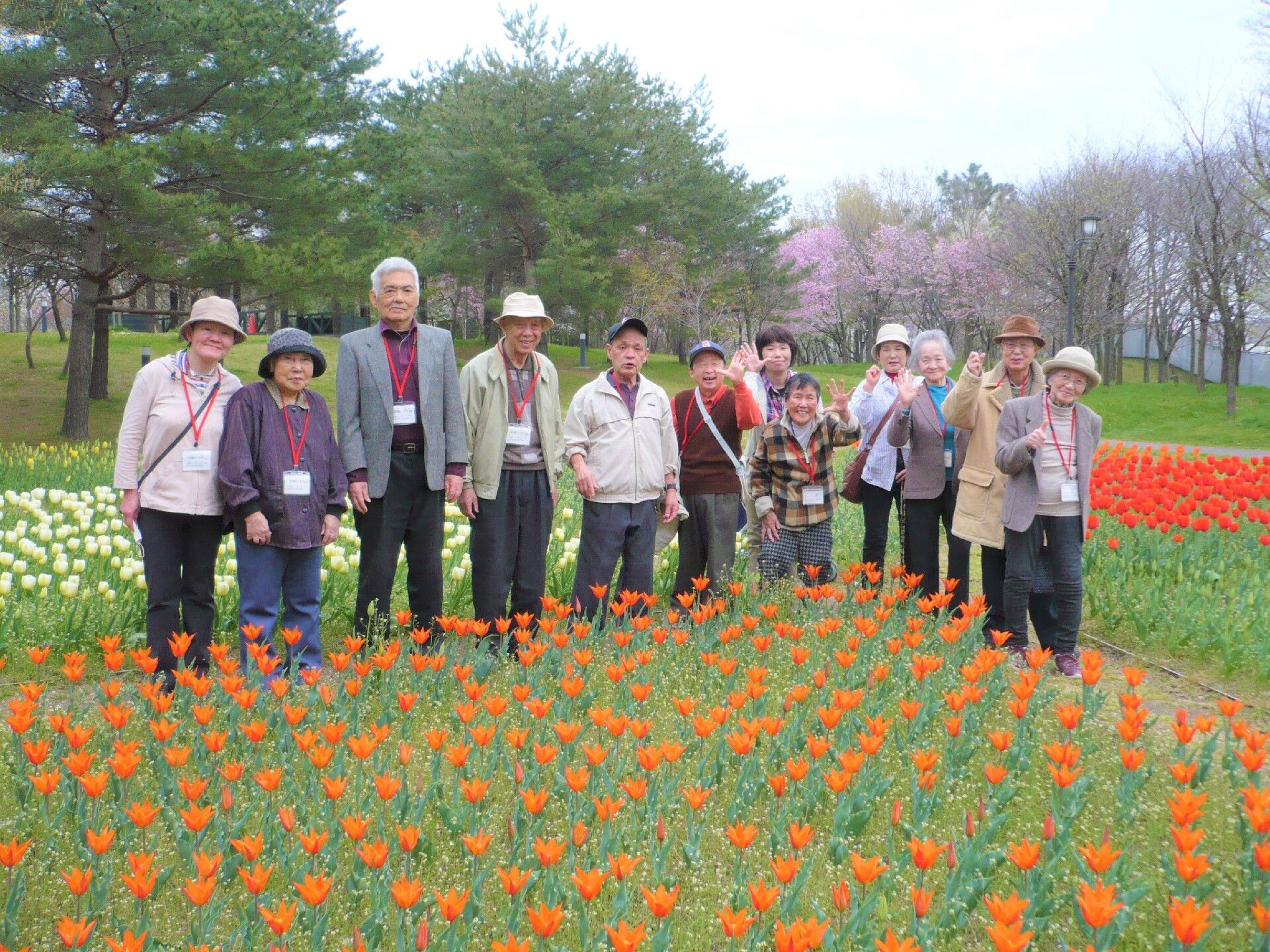 オレンジ色のチューリップが満開になった花壇の奥で笑う入居者様