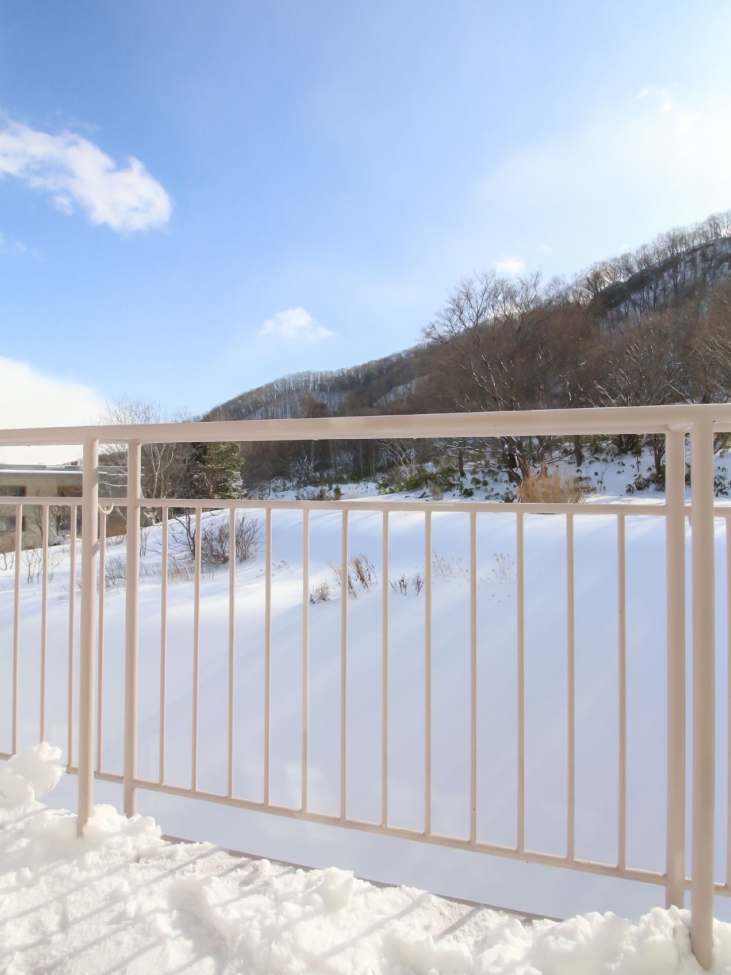ベランダに白色の柵が備わっており、遠くの景色が見えている。雪が積もっており、山や木々、青い空が見渡せる。